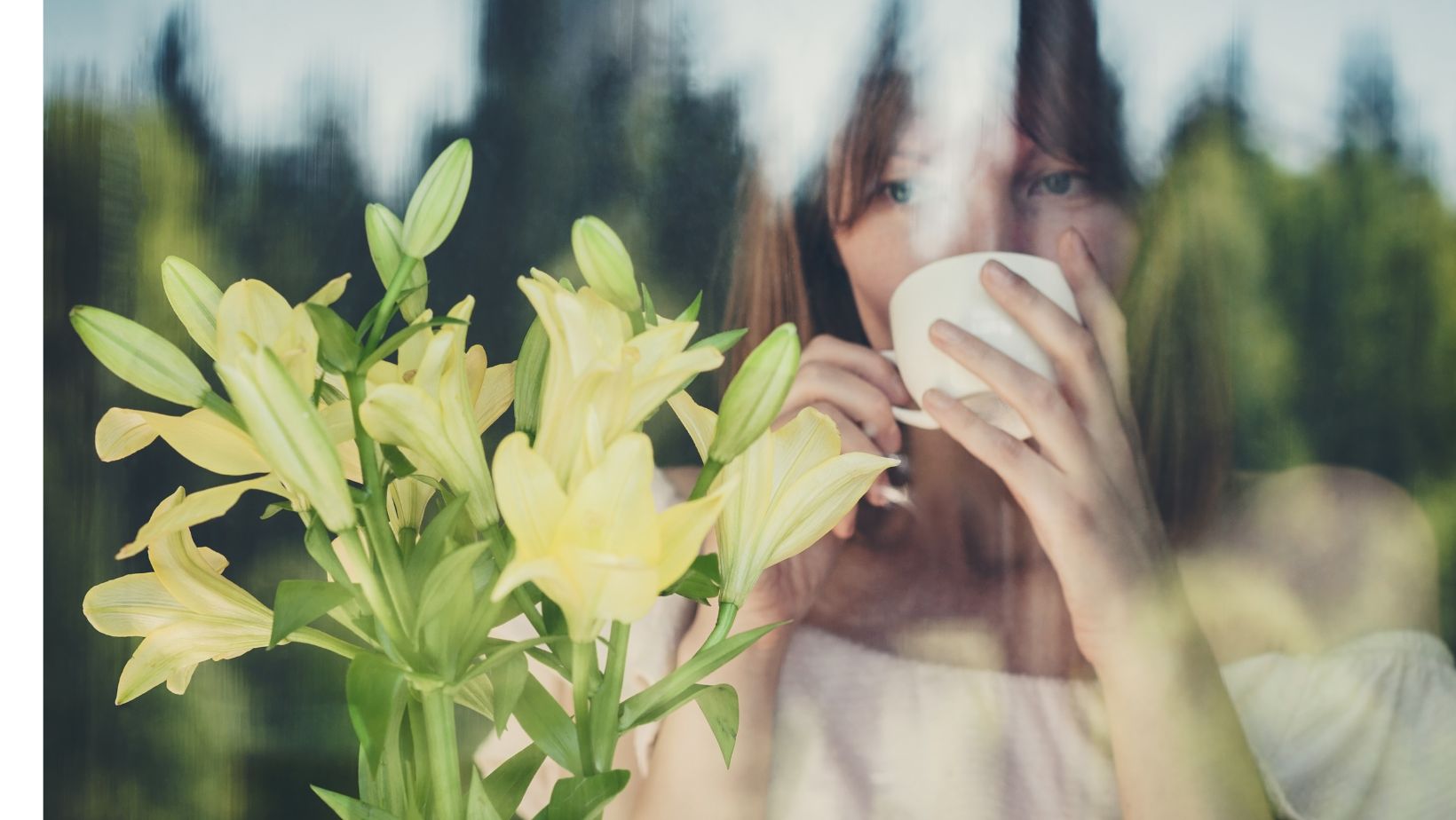 8 Ways to Reduce the Healthcare Carbon Footprint