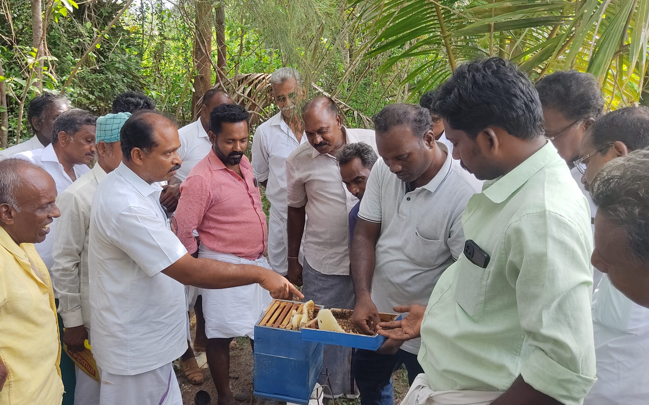 Honey Bees, Caring for the Environment, and Empowering Marginalized Communities