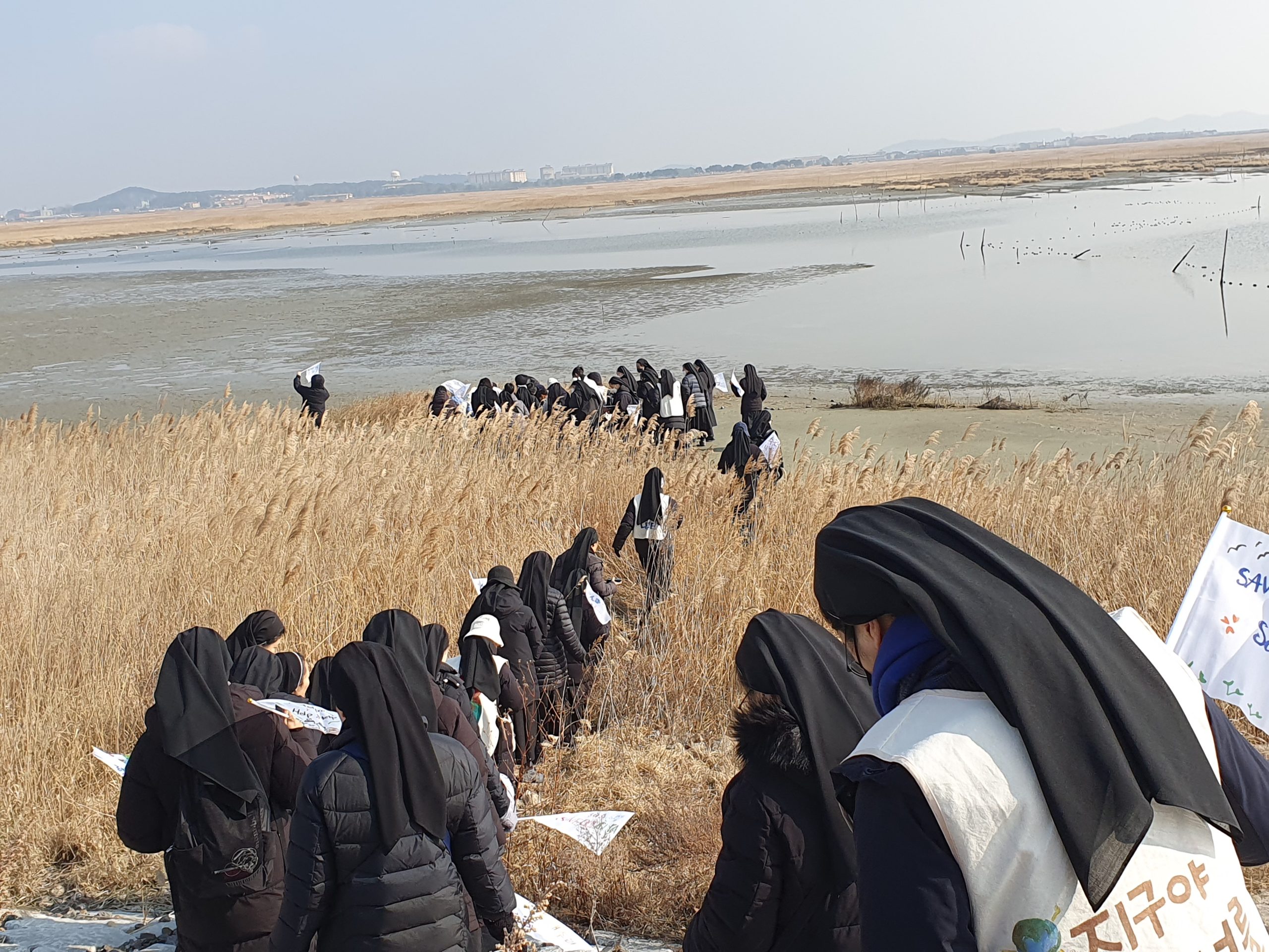 Pilgrims of Hope: A Journey Through South Korea’s Tidal Flats